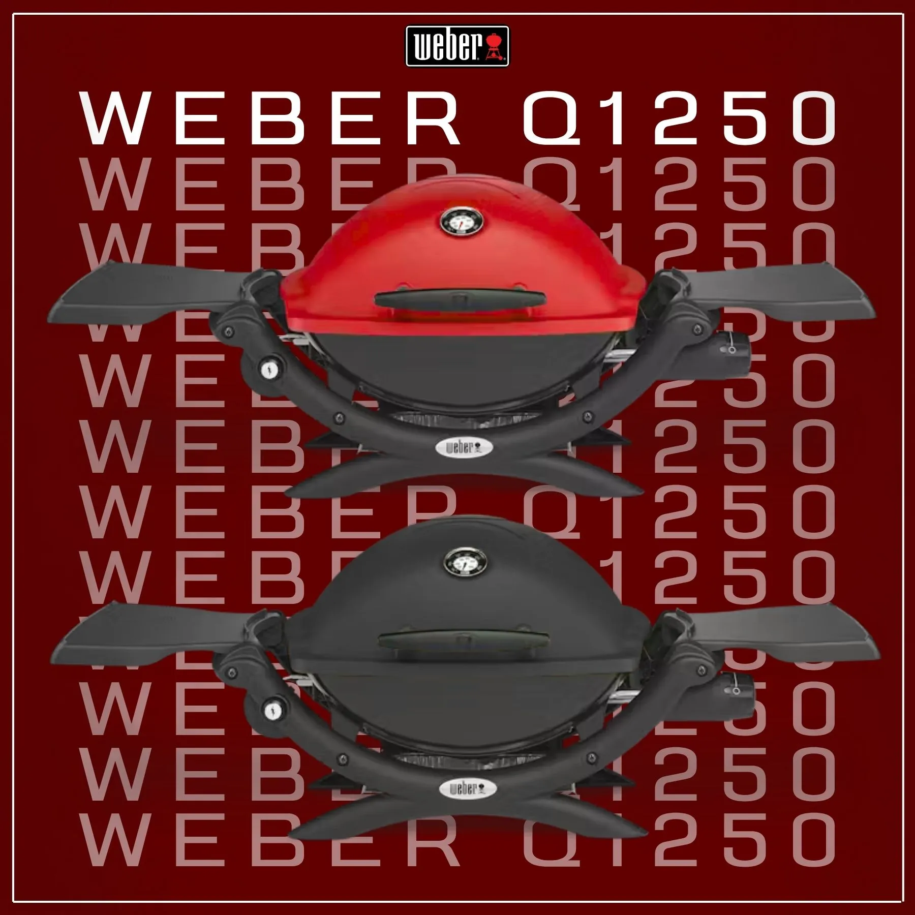 Weber Q 1250